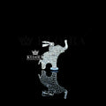 thumbnill slider images